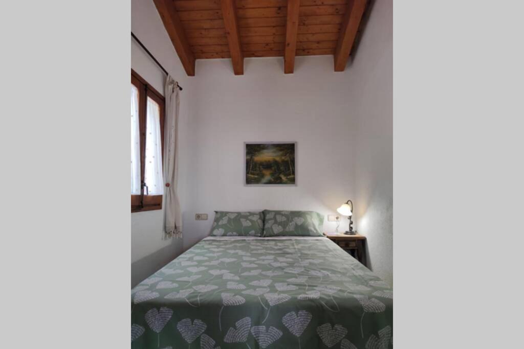 Casa Escola Villa Pobla de Segur Buitenkant foto